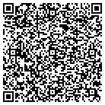 WhatsApp QR code for LYSI - Plastic Ball Pen - Grey