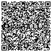 WhatsApp QR code for Mini Swivel USB Flash Drives