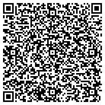 WhatsApp QR code for Promotional Oval Metal Keychains