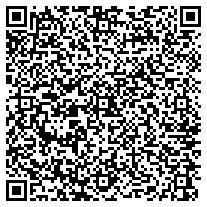WhatsApp QR code for Round Flat Metal Badges 20mm, Gold and Silver Colors