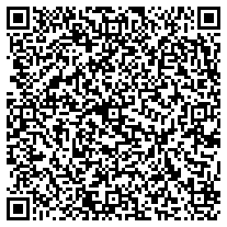 WhatsApp QR code for Shiny Gold Swivel USB Flash Drives