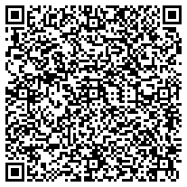 WhatsApp QR code for Shiny Silver Swivel USB Flash Drives