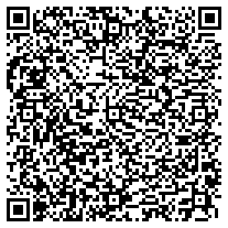 WhatsApp QR code for Silver Swivel USB Flash Drives