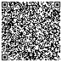 WhatsApp QR code for Stylus Metal Pens with Spinner – Push Button (Blue Ink)