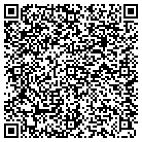WhatsApp QR code for Stylus Metal Pens with Textured Grip