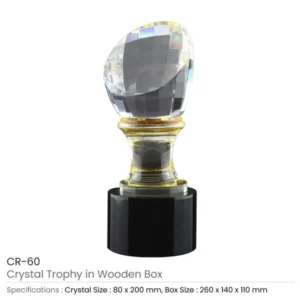 Crystal Glass Trophy in Wooden Box — related custom branded product in UAE