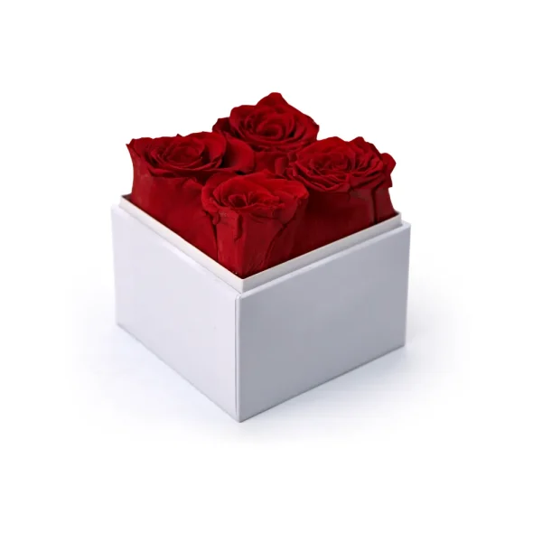 Forever Natural Flowers Gift Box White, Clear Acrylic Lid, 4Pcs Long Life Roses — product photo 1