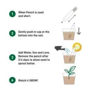 Plantable A Pencils Set Seeds Tomato Coriander Chili Mustard Fenugreek — related custom branded product in UAE
