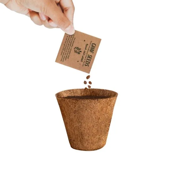 Plantable Kit with GHAF Seeds in Kraft Box — product photo 1