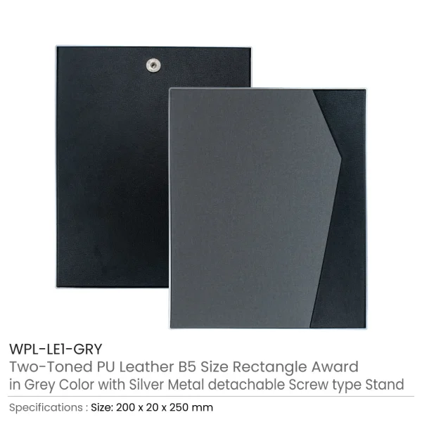 Two-Toned PU Leather Awards with Aluminum Frame & Stand in Luxury Box — product photo 1