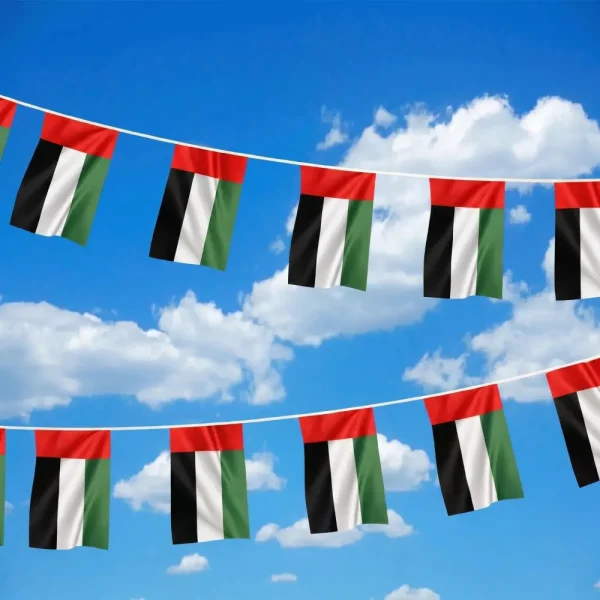 UAE String Flags and Flag Bunting 32Pcs — product photo 1